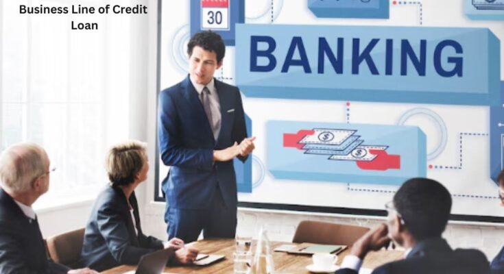 business line of credit loan